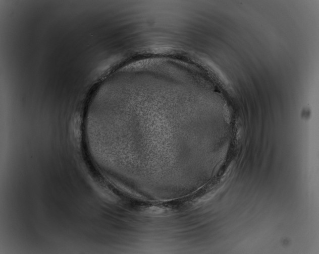 X0000102820542200809021253