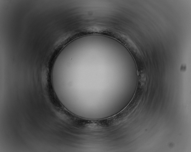 X0000102820544200809021253