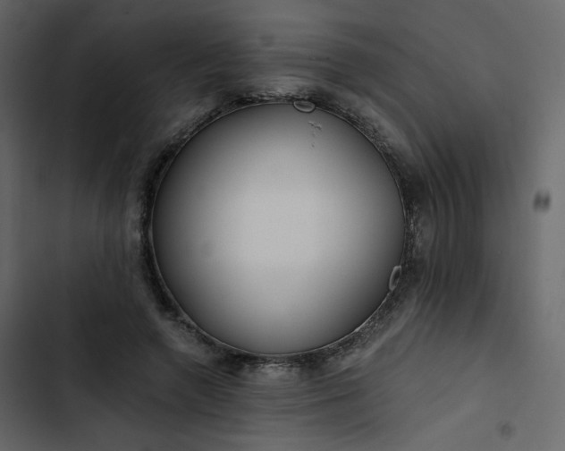 X0000102820546200809021253