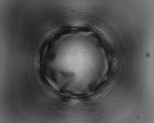 X0000102820547200809021253