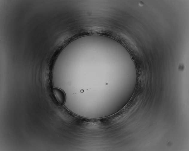 X0000102820548200809021253