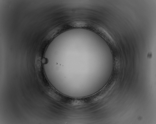 X0000102820549200809021253