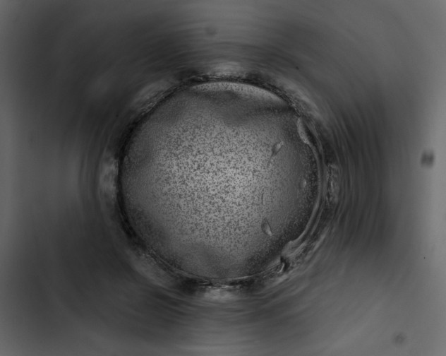 X0000102820550200809021253