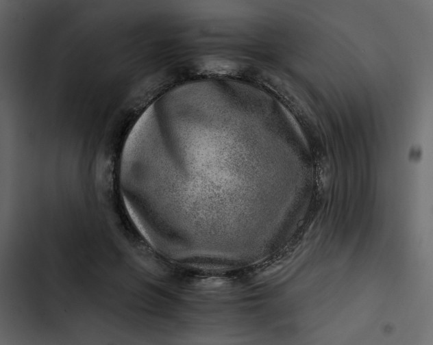 X0000102820551200809021253