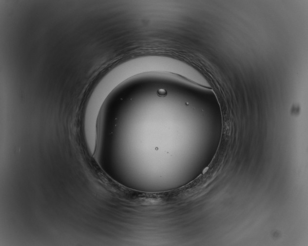 X0000102820552200809021253