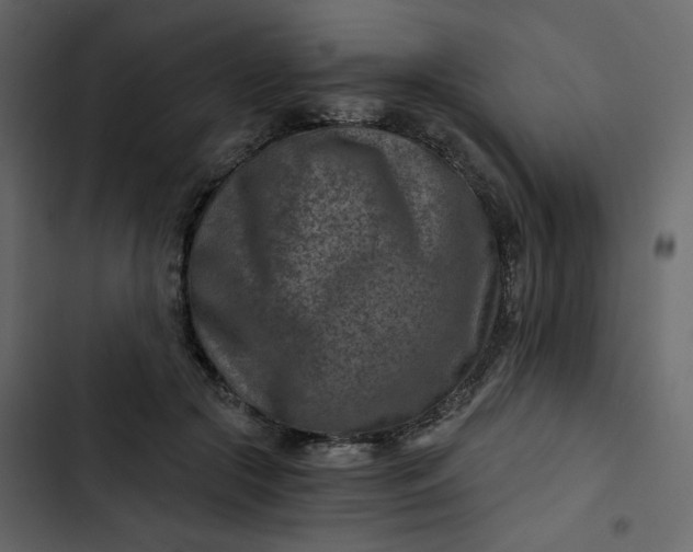 X0000102820553200809021253