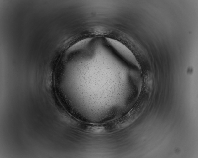 X0000102820554200809021253