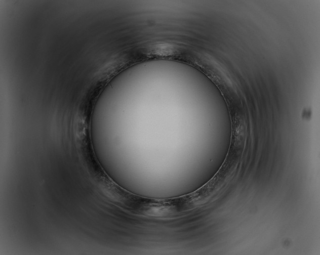 X0000102820555200809021253