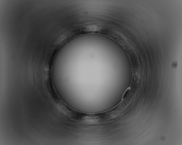 X0000102820556200809021253