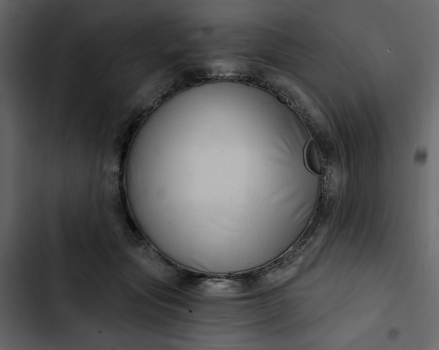 X0000102820557200809021253