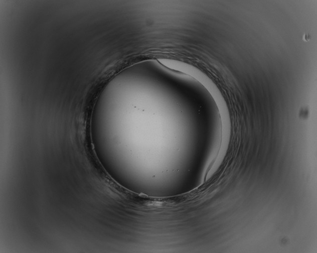 X0000102820558200809021253