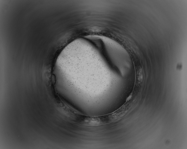 X0000102820559200809021253