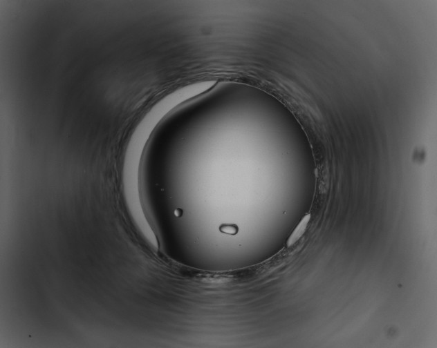 X0000102820560200809021253
