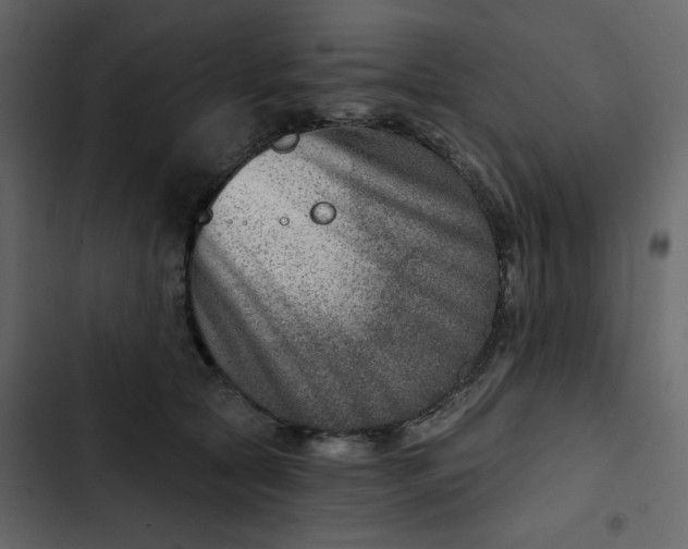 X0000102820561200809021253