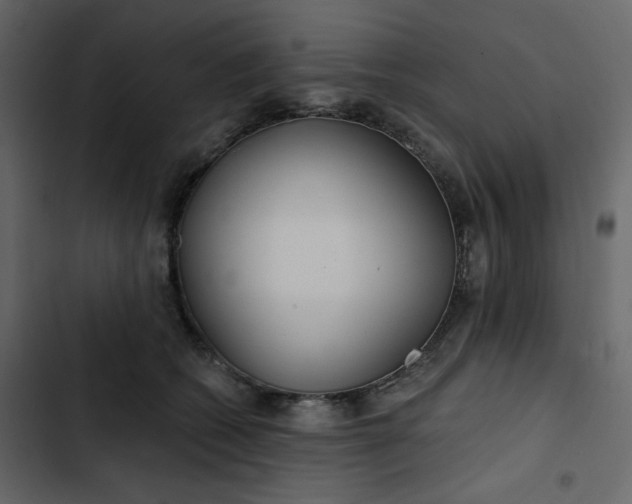 X0000102820562200809021253