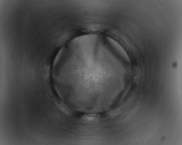 X0000102820563200809021253