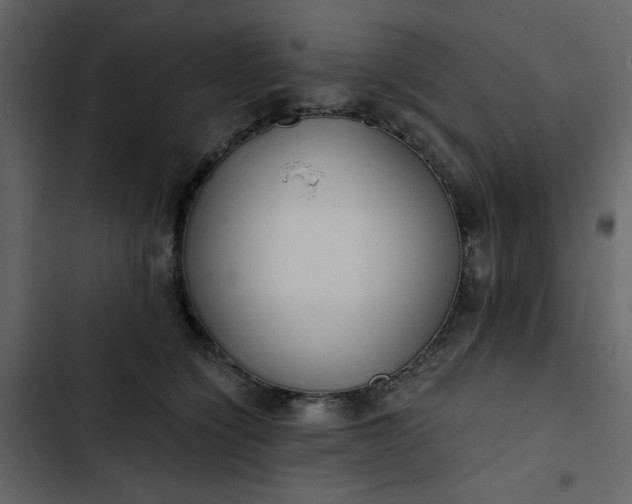 X0000102820564200809021253