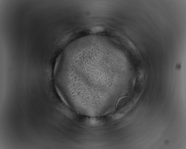 X0000102820565200809021253