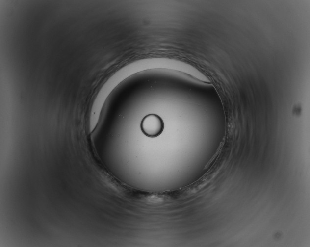X0000102820566200809021253