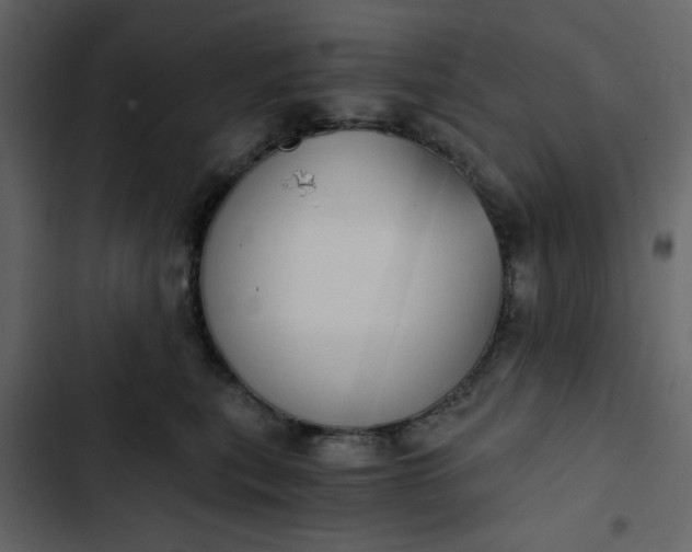 X0000102820567200809021253