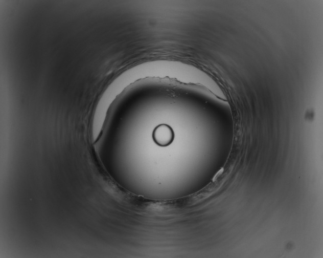 X0000102820568200809021253