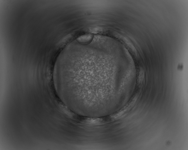 X0000102820569200809021253