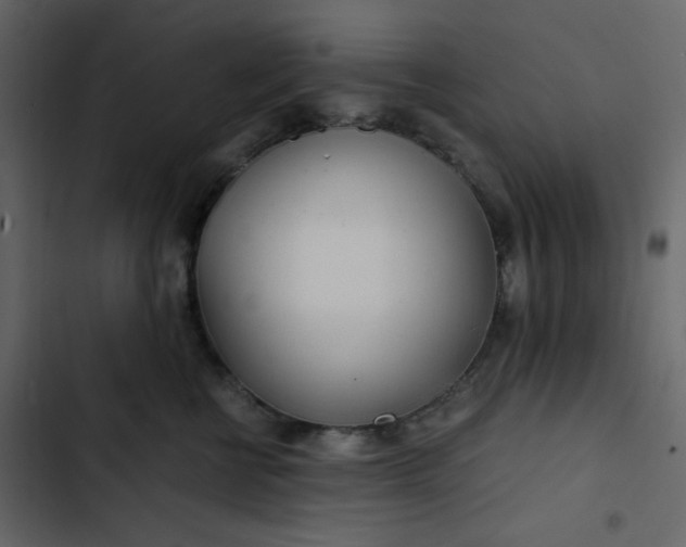 X0000102820570200809021253