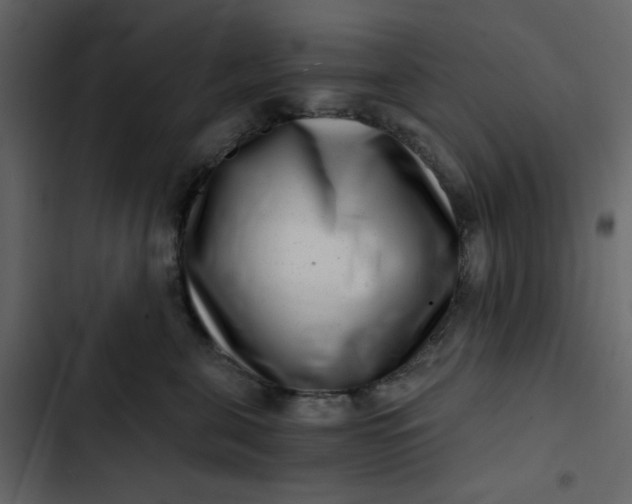 X0000102820571200809021253