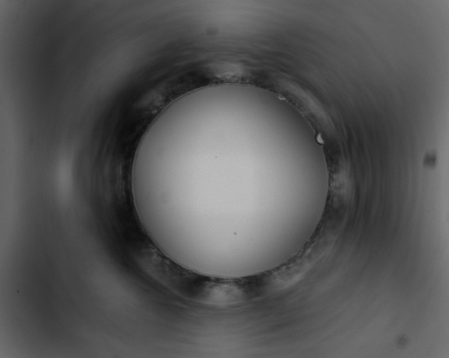 X0000102820572200809021253
