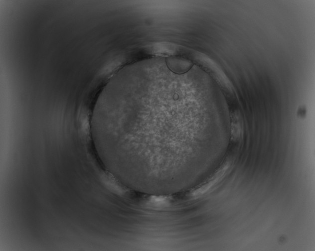 X0000102820573200809021253