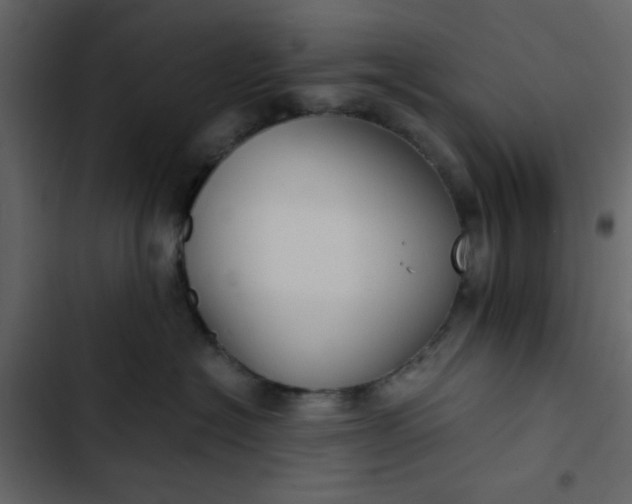X0000102820574200809021253