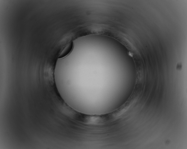 X0000102820575200809021253