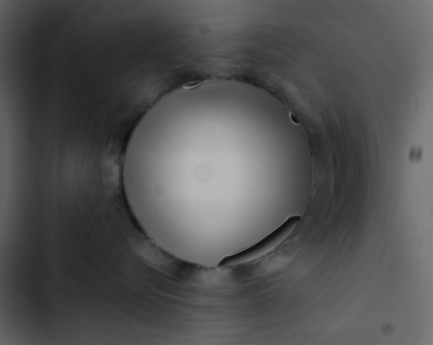 X0000102820576200809021253