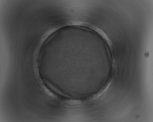 X0000102820577200809021253
