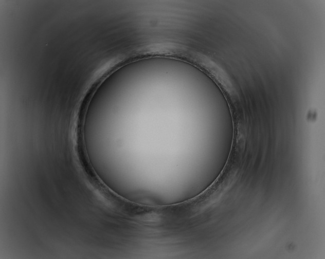 X0000102820578200809021253
