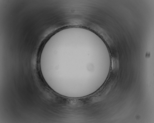 X0000102820579200809021253
