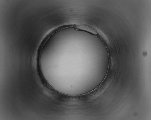 X0000102820580200809021253