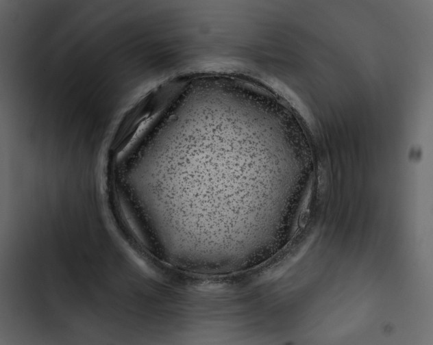X0000102820581200809021253