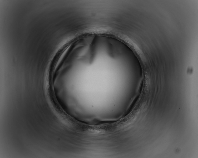 X0000102820582200809021253