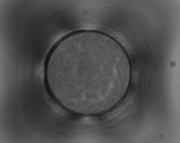 X0000102820584200809021253