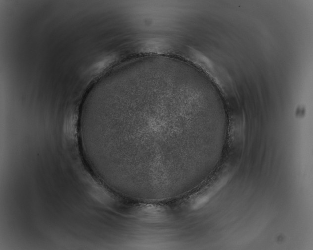 X0000102820585200809021253