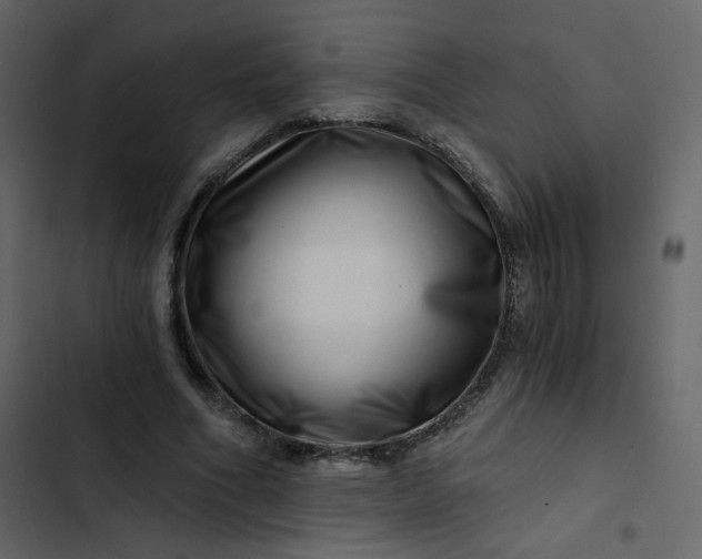 X0000102820586200809021253