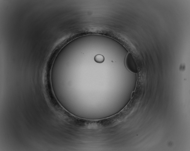 X0000102820587200809021253