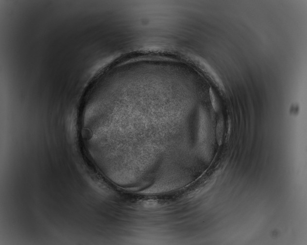 X0000102820588200809021253