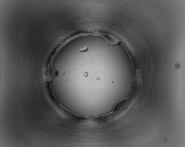 X0000102820589200809021252