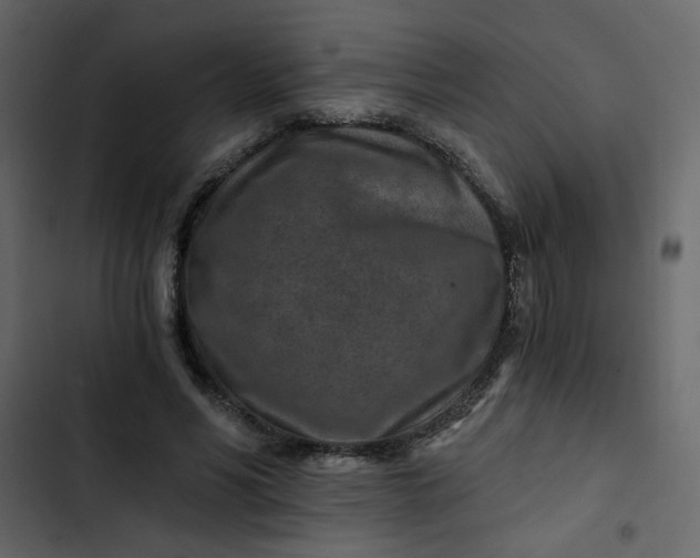 X0000102820590200809021252