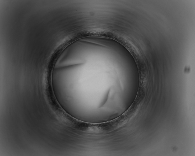 X0000102820591200809021252