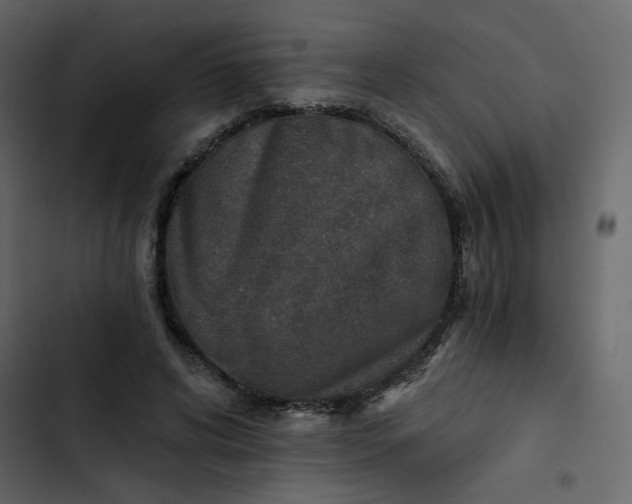 X0000102820592200809021252