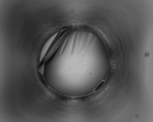 X0000102820593200809021252