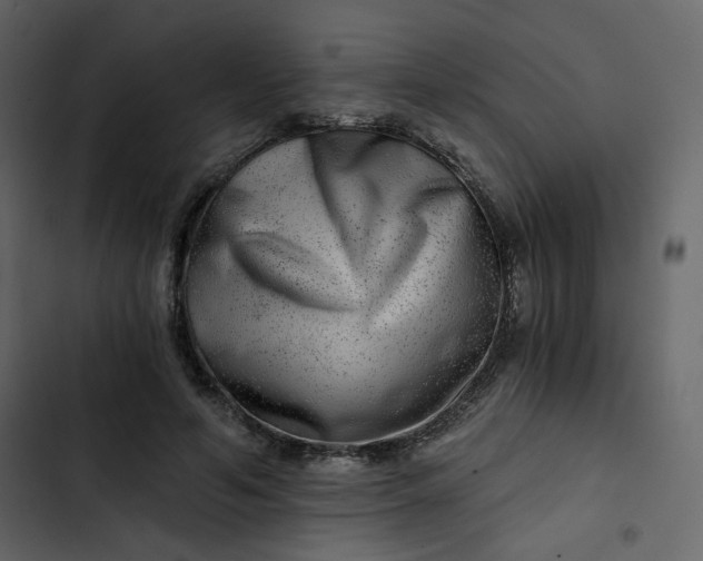 X0000102820594200809021252